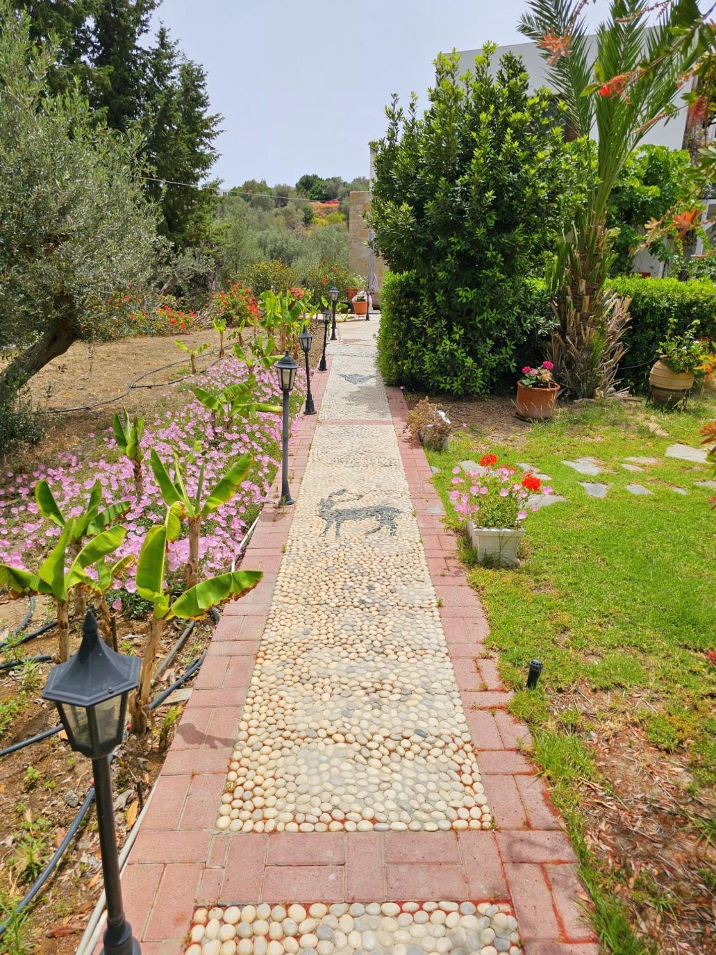 Galini View Apartments Lindos Εξωτερικό φωτογραφία